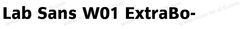 Lab Sans W01 ExtraBo字体转换